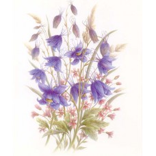 PRINT ROB POHL COLLECTION Wild Flower Sprays 2